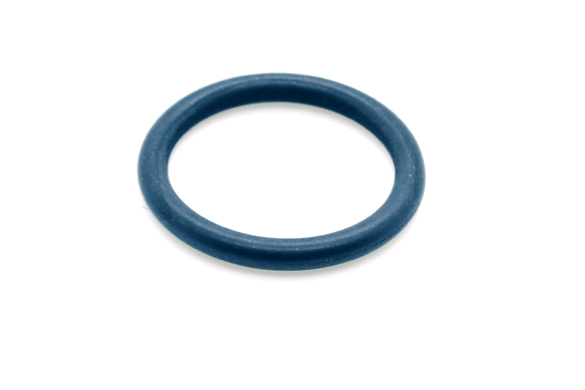 Bayrol In Liner Strainer o Ring F20 BlueCube Direct BlueCube Direct